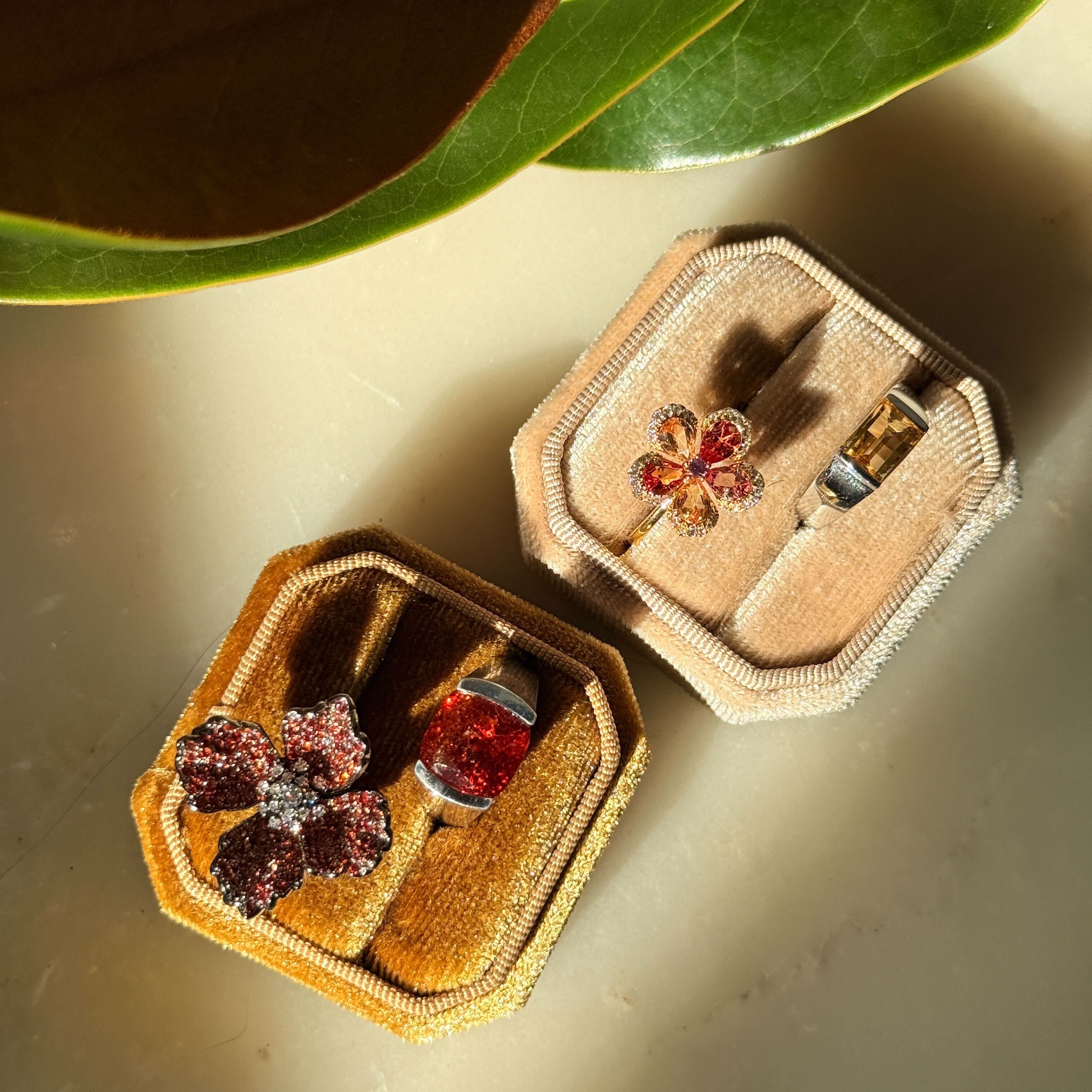 Jewelry set in open velvet boxes with a leafy background- taylor swift inspired rings