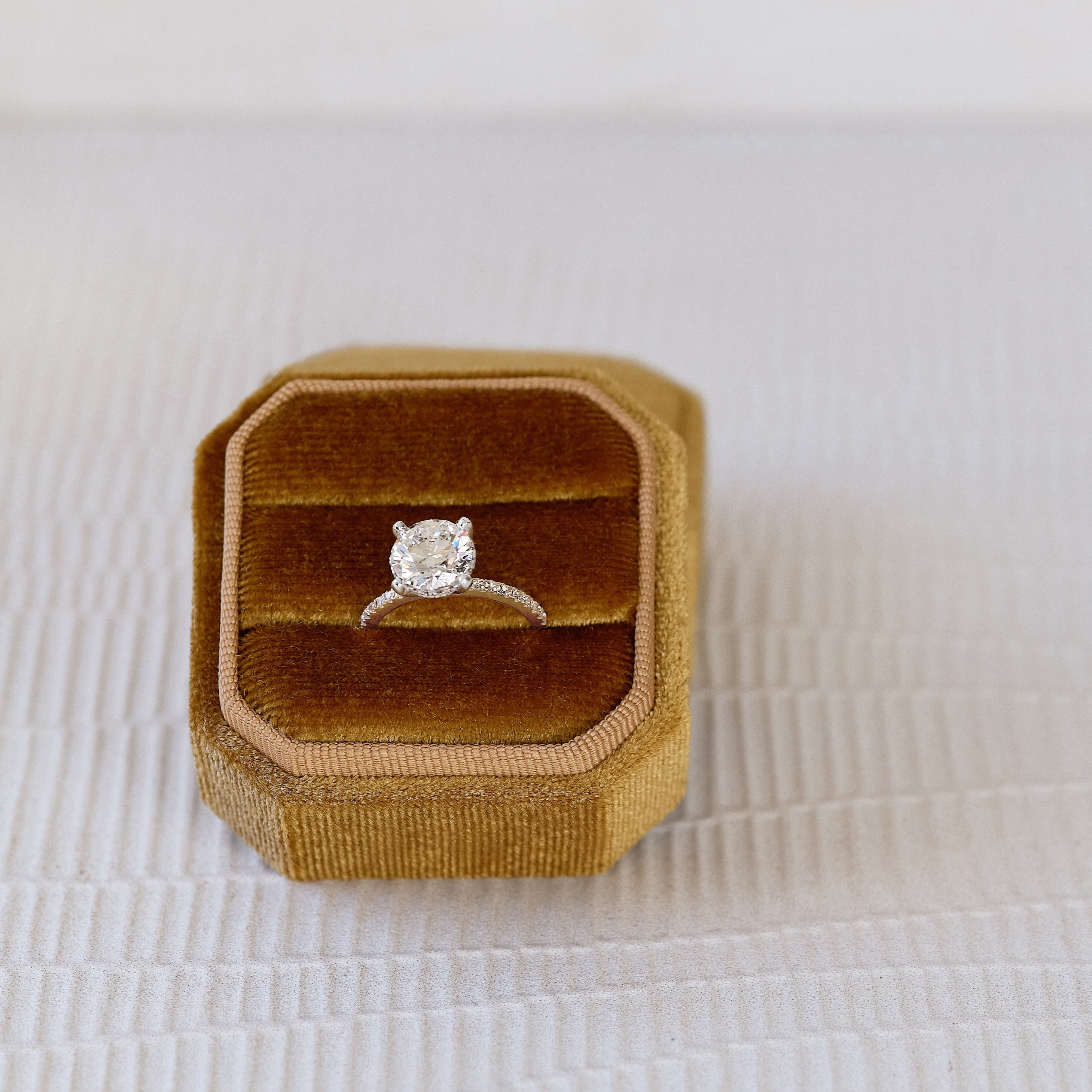 Virtue hidden halo solid yellow and white gold ring