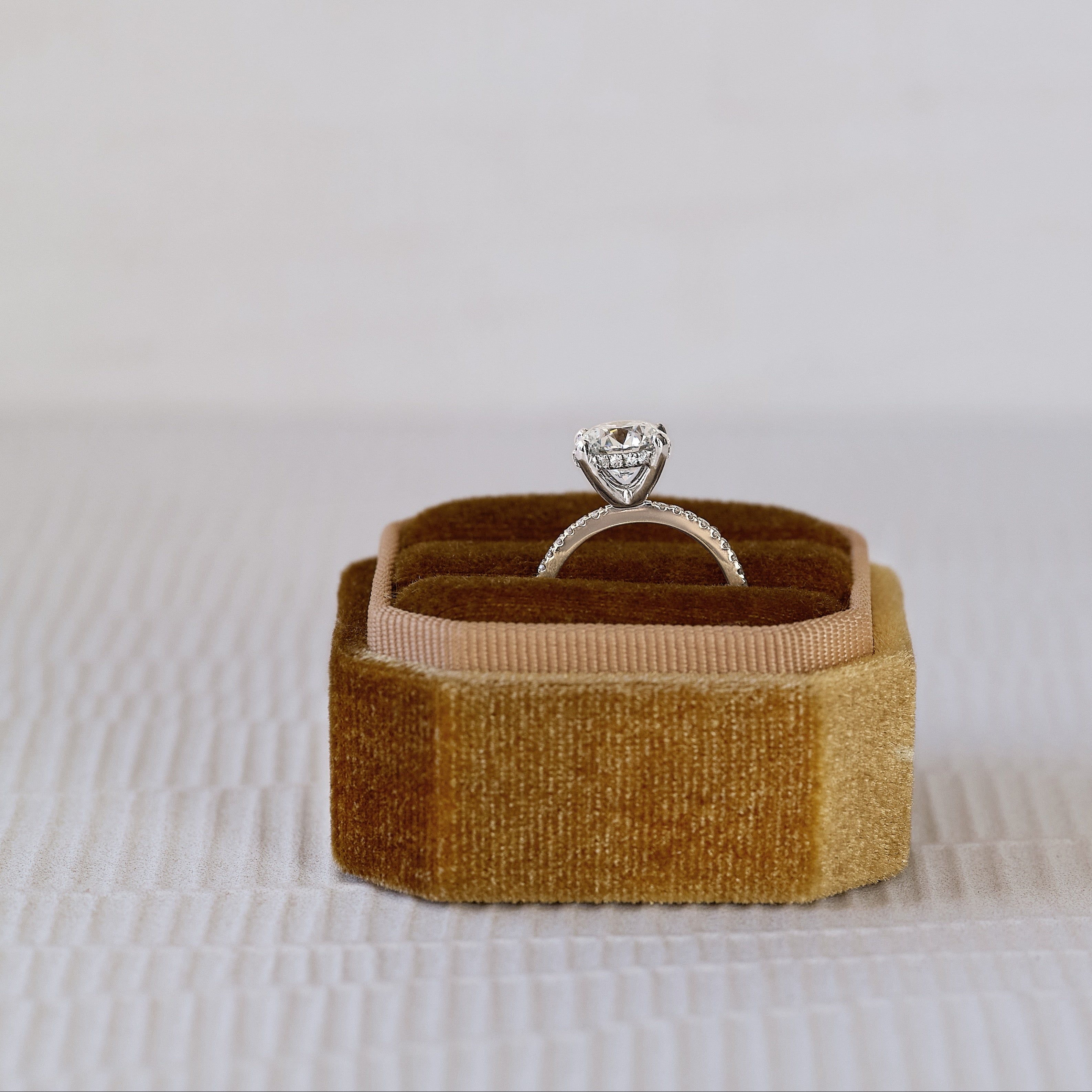 Virtue hidden halo solid yellow and white gold ring