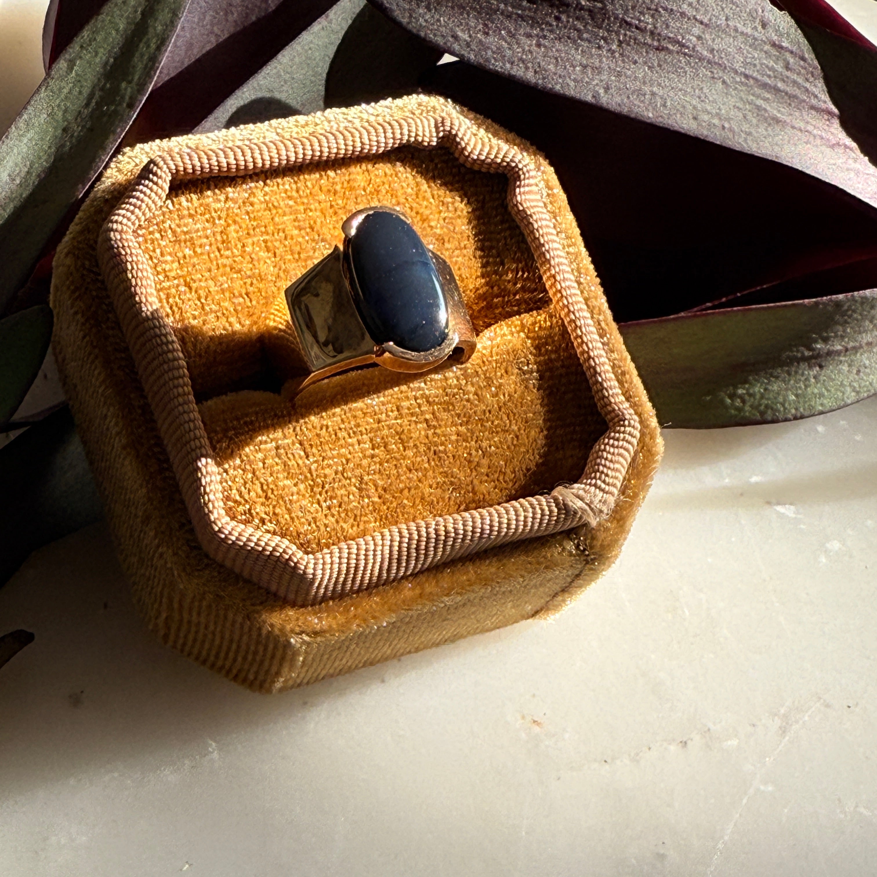 Ring with a blue stone in a brown velvet box on a white surface with green leaves.