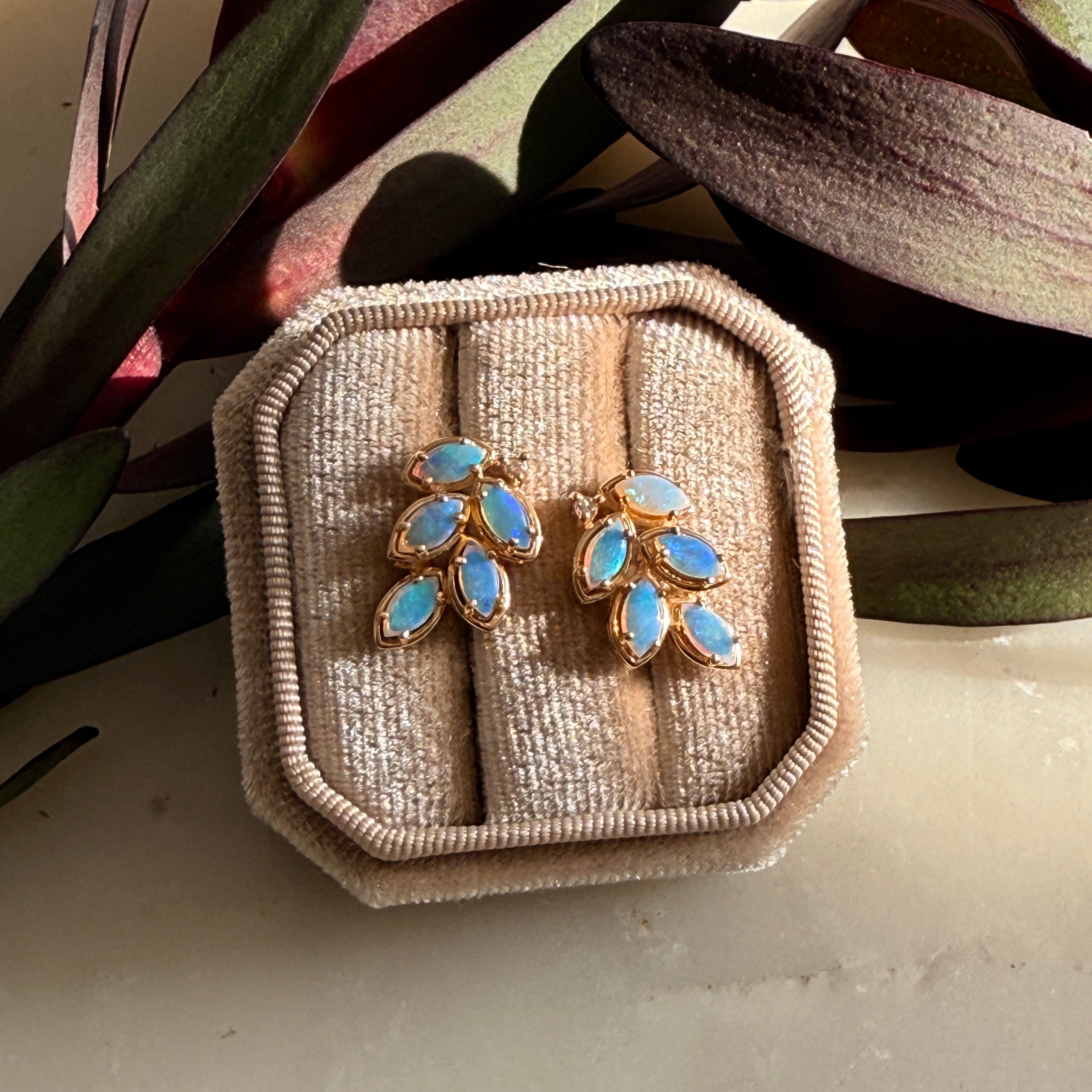 Pair of gold earrings with blue fire opal earrings in a beige jewelry box on a light background.