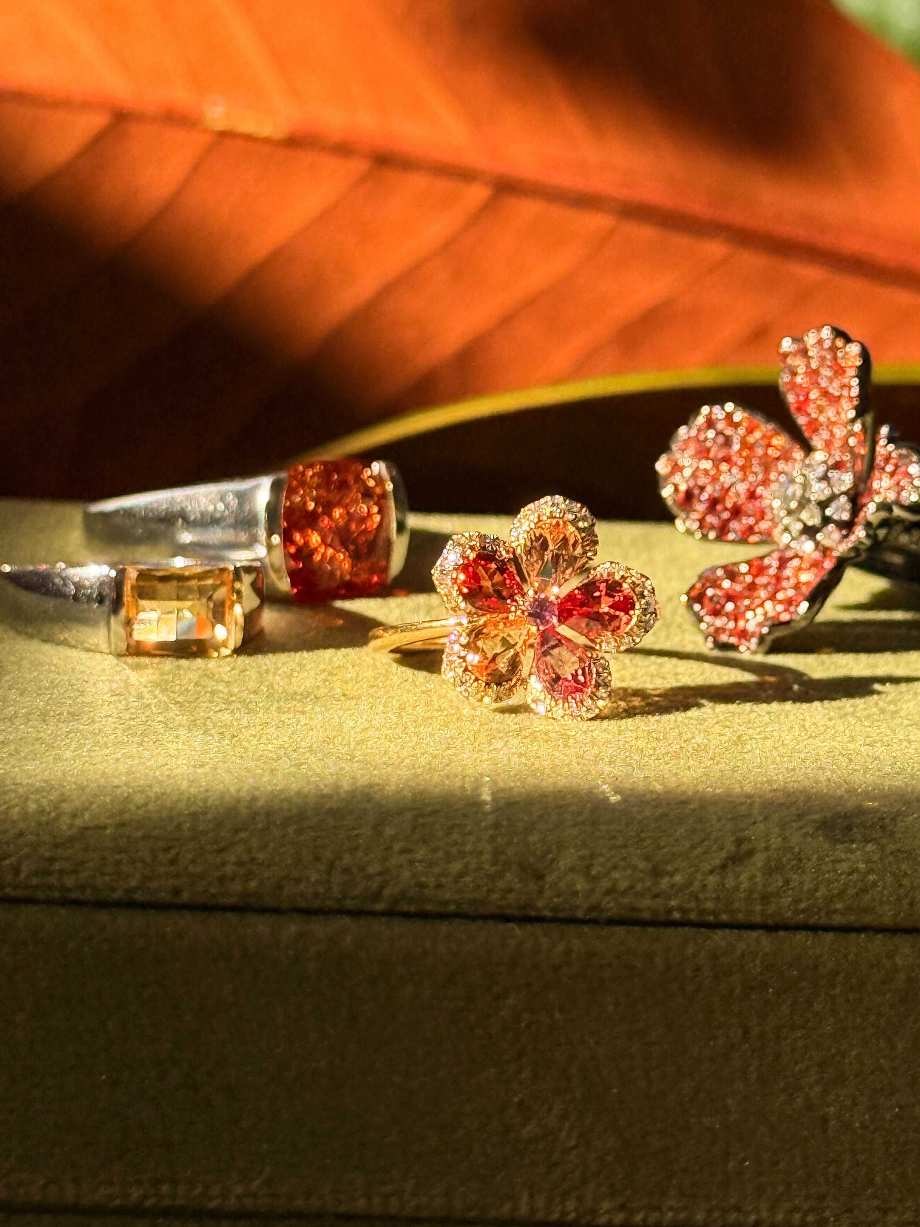 Spotlight On: Introducing "The Life of a Showgirl" Collection
