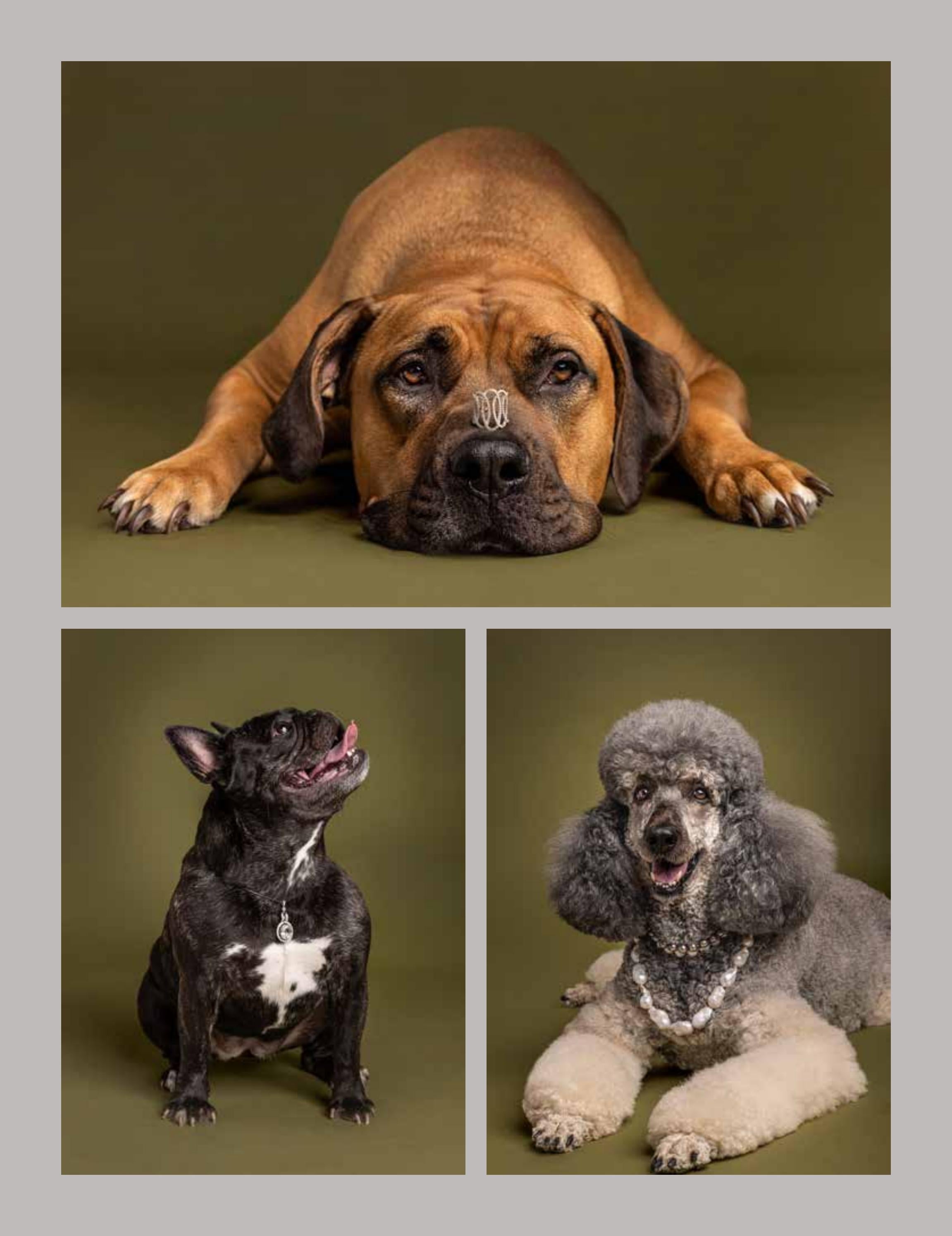 Behind the Scenes: Fine Jewelry and Furry Friends at Vinca
