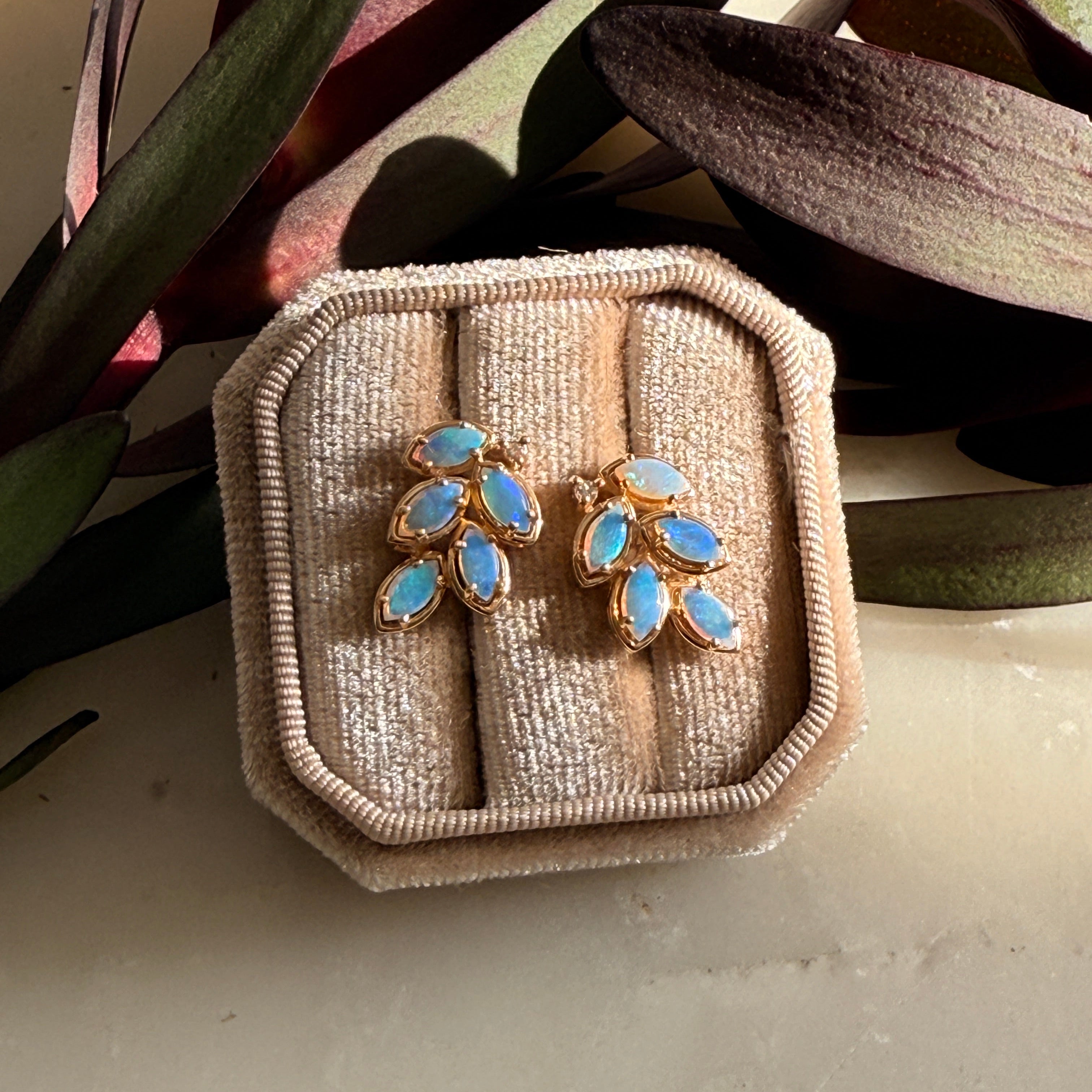 Pair of gold earrings with blue gemstones which fire opal  in a beige jewelry box on a light background.